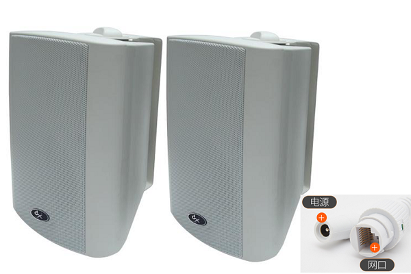 20W IP網絡音箱